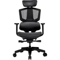 Cougar Argo One, PC-Gamingstuhl, 150 kg, Netz-Sitz, Netz-Rückenlehne, Schwarz, Schwarz