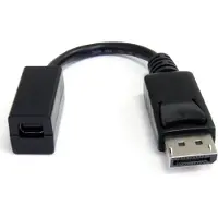 StarTech.com .com 15cm DisplayPort auf Mini DisplayPort Adapter - 1 x DP (20 pin)