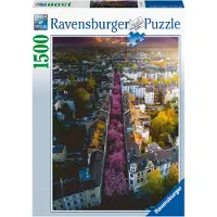 Ravensburger Blühendes Bonn 17104