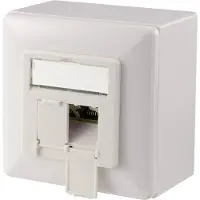 Digitus CAT 6A, Klasse EA, Datendose, designkompatibel, Aufputz, 2 x RJ-45, 1 Modul(e), 6a, 500 MΩ, Weiß, ABS Synthetik