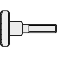 Toolcraft M5*12 D464-5.8:A2K 194767 Fingerskruer M5 12 mm DIN 464 Stål Galvaniseret 10 stk