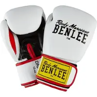 Benlee Draco Kampfhandschuhe