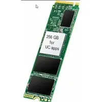 Unify SSD - 256 GB - intern - M.2 - M.2 Card