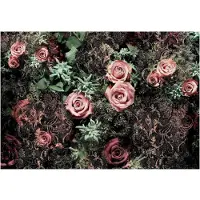 Overig Fototapete "Velvet - Größe 368 x 254 cm" bedruckt glatt Wohnzimmer, Schlafzimmer