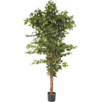 Otto Home Kunstpflanze "Ficus Benjamini", grün, B:23cm H:150cm, Kunststoff, Polyester, Kunstpflanzen, Kunstpflanze