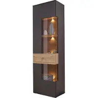 Forte Vitrine "Como", grau (grau, eichefarben), B:60,4cm H:203,3cm T:41,3cm, Holzwerkstoff, Schränke, Vitrine, Vitrine, Glastüre, LED Beleuchtung, Soft Close Linksanschlag