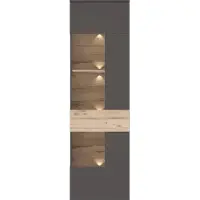 Forte Vitrine "Como", grau (grau, eichefarben), B:60,4cm H:203,3cm T:41,3cm, Holzwerkstoff, Schränke, Vitrine, Vitrine, Glastüre, LED Beleuchtung, Soft Close Linksanschlag