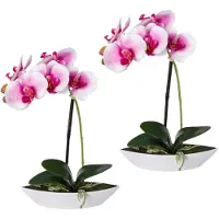 Creativ Green Kunstorchidee "Phalaenopsis", lila (weiß, lila), B:6,5cm H:30cm L:19,5cm, Kunststoff, Kunstpflanzen, Kunstorchidee, 2er Set, in Kunststoffschale