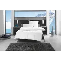 F.A.N. Gänsefederkopfkissen "f.a.n. Alaska", weiß, B:80cm L:80cm, Bezug: 100% Baumwolle. Füllung: 70% Gänsefeder, 30% Gänsedaunen, Kopfkissen, Gänsefederkopfkissen