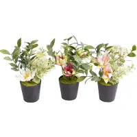 Botanic-Haus Künstliche Zimmerpflanze "Christrosen-Arrangement im schwarzen Kunststofftopf", orange, B:13cm H:18cm T:13cm Ø:13cm, Kunststoff, Kunstpflanzen, Künstliche Zimmerpflanze