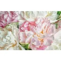 Papermoon Fototapete "Blooming Peonies", bunt, B:2m L:1,49m, Vlies, Tapeten, Fototapete