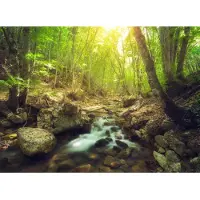 Papermoon Fototapete "Forest Creek", bunt, B:4m L:2,6m, Vlies, Tapeten, Fototapete