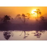 Papermoon Fototapete "Misty Morning Scenery", bunt, B:3m L:2,23m, Vlies, Tapeten, Fototapete