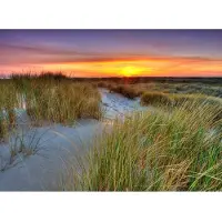 Papermoon Fototapete "Dunes Sunset", bunt, B:2m L:1,49m, Vlies, Tapeten, Fototapete