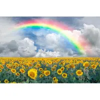 Papermoon Fototapete "Rainbow Sunflowers", bunt, B:4m L:2,6m, Vlies, Tapeten, Fototapete