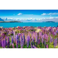 Papermoon Fototapete "Montain Lake with Flowers", bunt, B:2m L:1,49m, Vlies, Tapeten, Fototapete