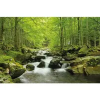 Papermoon Fototapete "Soft Water Stream", bunt, B:2,5m L:1,86m, Vlies, Tapeten, Fototapete