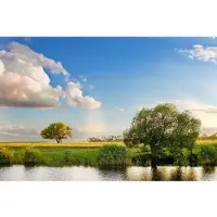 Papermoon Fototapete "River Tree Landscape", bunt, B:5m L:2,8m, Vlies, Tapeten, Fototapete