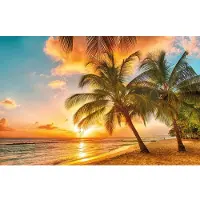 Papermoon Fototapete "Barbados Palm Beach", bunt, B:5m L:2,8m, Vlies, Tapeten, Fototapete