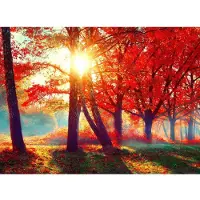 Papermoon Fototapete "Autumn Park", bunt, B:3,5m L:2,6m, Vlies, Tapeten, Fototapete