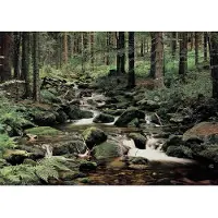 Papermoon Fototapete "Nature", bunt, B:2,5m L:1,86m, Vlies, Tapeten, Fototapete