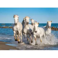 Papermoon Fototapete "Camargue Horses", bunt, B:2,5m L:1,86m, Vlies, Tapeten, Fototapete