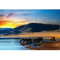 Papermoon Fototapete "Drinking Horses", bunt, B:2,5m L:1,86m, Vlies, Tapeten, Fototapete