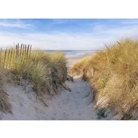 Papermoon Fototapete "Dunes in Bretagne", bunt, B:2,5m L:1,86m, Vlies, Tapeten, Fototapete