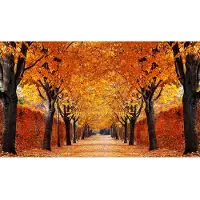 Papermoon Fototapete "Autumn Alley" glatt