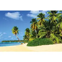 Papermoon Fototapete "Exotic Palm Beach", bunt, B:3m L:2,23m, Vlies, Tapeten, Fototapete