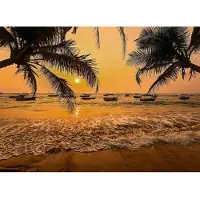 Papermoon Fototapete "Sri Lanka Palm Beach", bunt, B:3,5m L:2,6m, Vlies, Tapeten, Fototapete