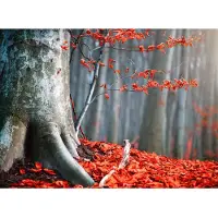 Papermoon Fototapete "Old Autumn Tree", bunt, B:3,5m L:2,6m, Vlies, Tapeten, Fototapete