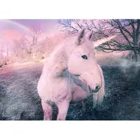 Papermoon Fototapete "Unicorn", bunt, B:4m L:2,6m, Vlies, Tapeten, Fototapete