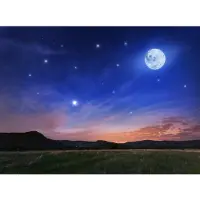 Papermoon Fototapete "Full Moon", bunt, B:3,5m L:2,6m, Vlies, Tapeten, Fototapete