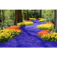 Papermoon Fototapete "Spring Flowers", bunt, B:4m L:2,6m, Vlies, Tapeten, Fototapete