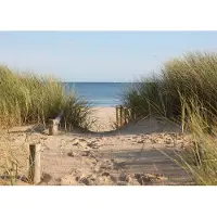 Papermoon Fototapete "Dunes in Dorset", bunt, B:2,5m L:1,86m, Vlies, Tapeten, Fototapete