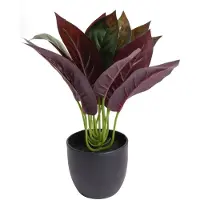 Botanic-Haus Künstliche Zimmerpflanze "Calathea", grün, B:20cm H:20cm T:20cm Ø:20cm, Kunststoff, Kunstpflanzen, Künstliche Zimmerpflanze