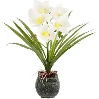 My Home Kunstblume "Orchidee", beige (creme), B:35cm H:40cm L:25cm, Polyester, Kunstpflanzen, Kunstblume, Mit Blätter im Topf aus Zement Künstliche Blume Cymbidium-Orchidee