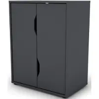 ByLiving Aktenschrank BELFAST, Breite 60 cm, anthrazit, 2 Türen, viel Stauraum