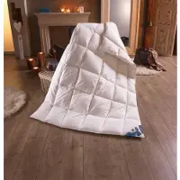 Haeussling Daunenbettdecke "Hjemme Hygge", extrawarm, Füllung 90% Daunen, 10% Federn, (1 St.)