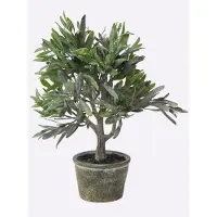 Gasper Kunstpflanze Olivenbäumchen, im Topf, Höhe 36 cm