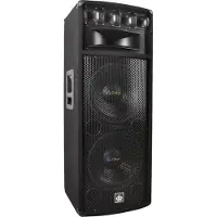 Dibeisi Stage speaker Q1240