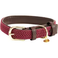 Kentucky Nylon Plaited Hundehalsband