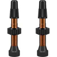 WTB tyres Tubeless-Ventile presta TCS