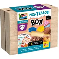 Lisciani Montessori Box Taste