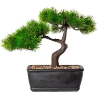 Creativ Green Kunstbonsai "Bonsai Lärche"