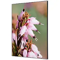 SHOWDOWN Textile Wanddekoration Rosa Blume Mehrfarbig Aluminium