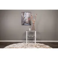Venture Home Rise
