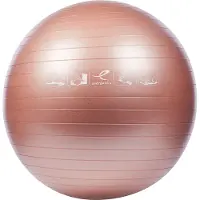 ENERGETICS Gymnastik Ball / Physioball
