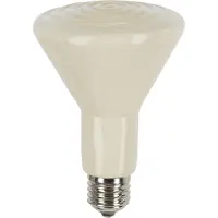 Kerbl Pet Keramik-Dunkelstrahler 250W, 1 Stück (1er Pack)